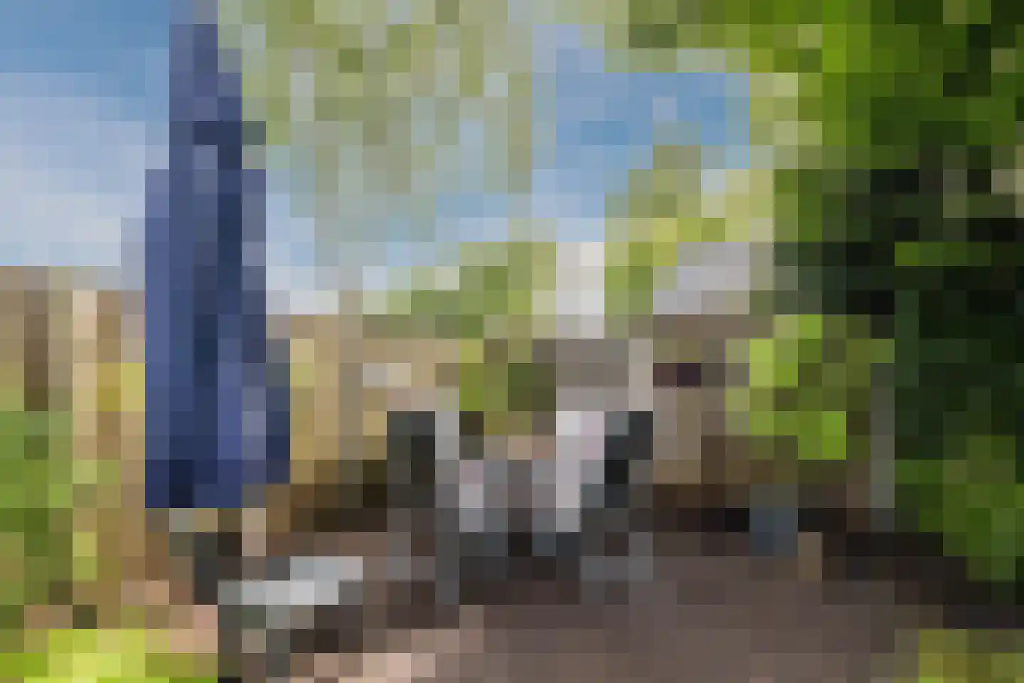 Populierenlaan 20 Emmer-Compascuum thumbnail 43