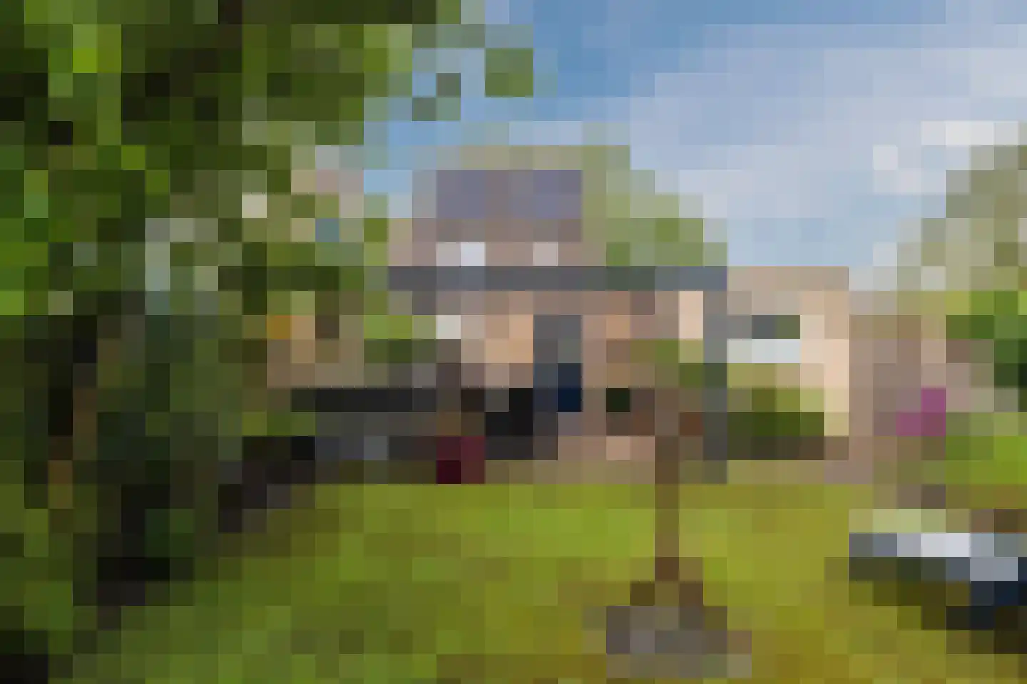 Populierenlaan 20 Emmer-Compascuum thumbnail 45