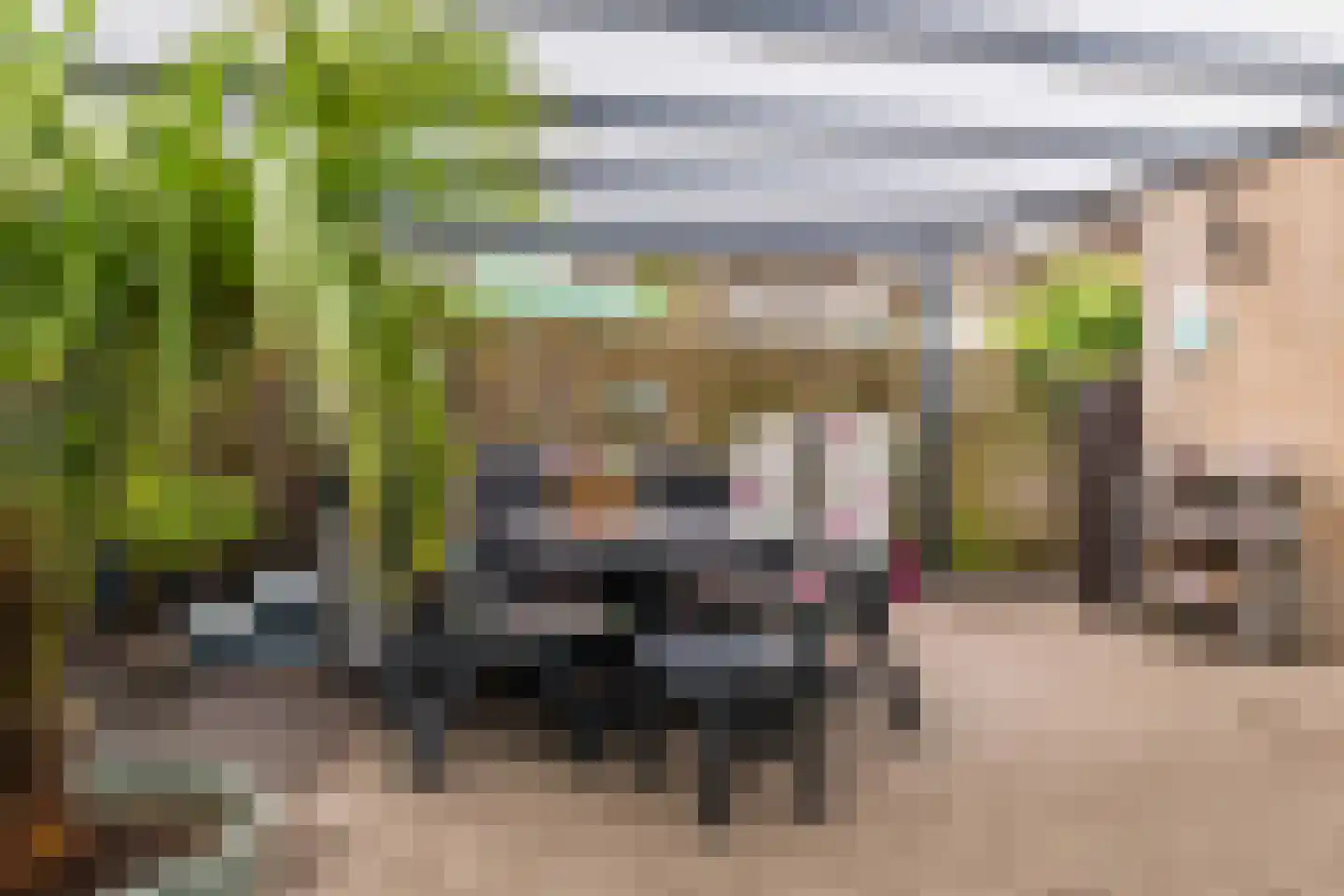 Populierenlaan 20 Emmer-Compascuum thumbnail 47