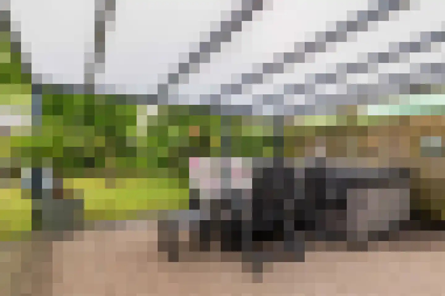 Populierenlaan 20 Emmer-Compascuum thumbnail 48