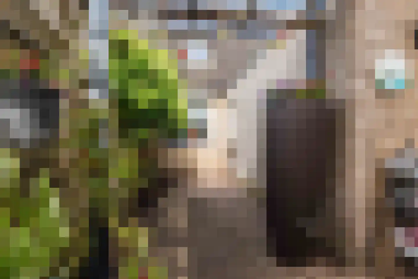 Populierenlaan 20 Emmer-Compascuum thumbnail 49