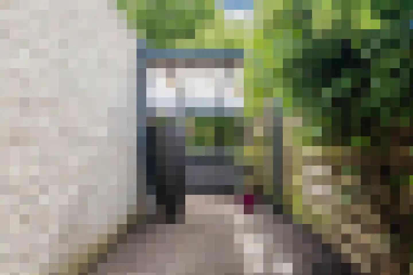 Populierenlaan 20 Emmer-Compascuum thumbnail 50