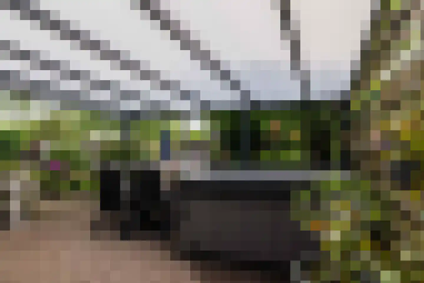 Populierenlaan 20 Emmer-Compascuum thumbnail 51