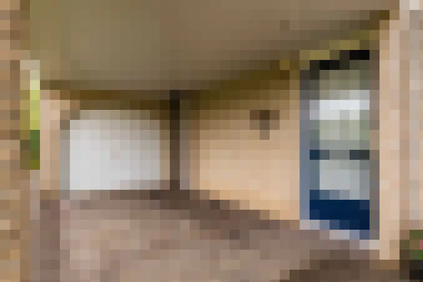 Populierenlaan 20 Emmer-Compascuum thumbnail 6