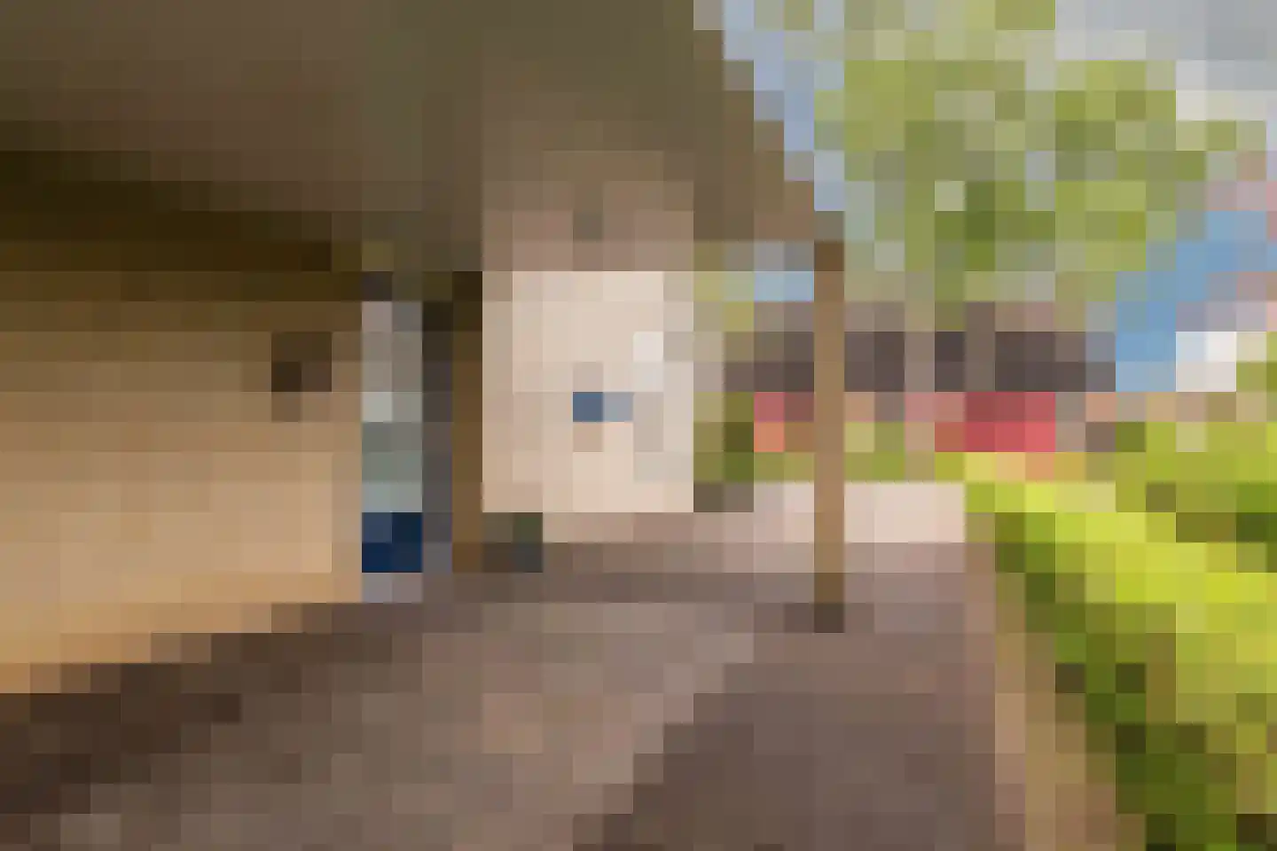 Populierenlaan 20 Emmer-Compascuum thumbnail 7