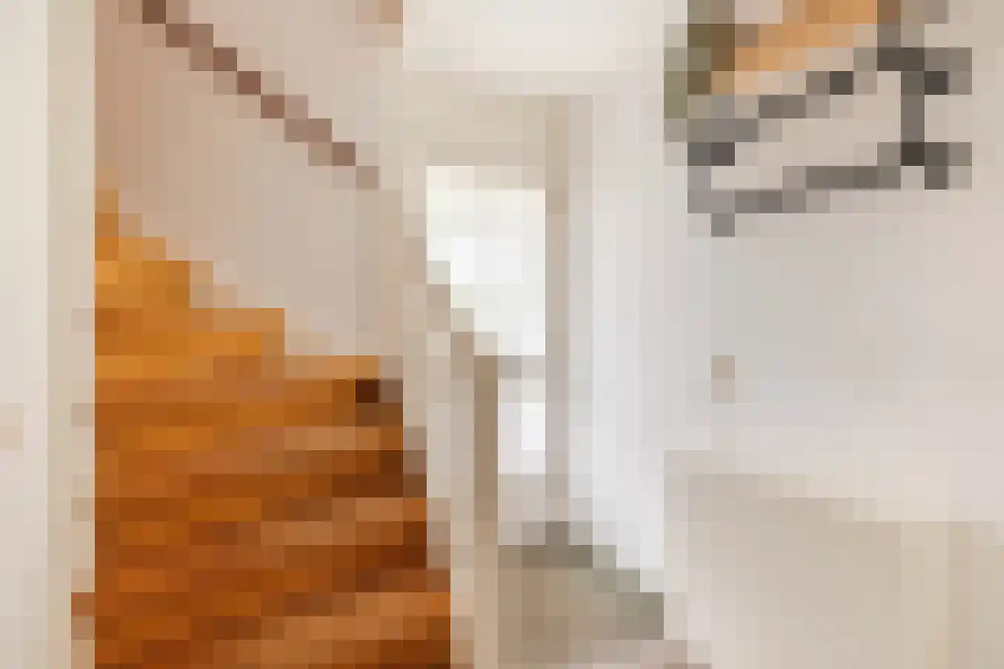 Populierenlaan 20 Emmer-Compascuum thumbnail 8