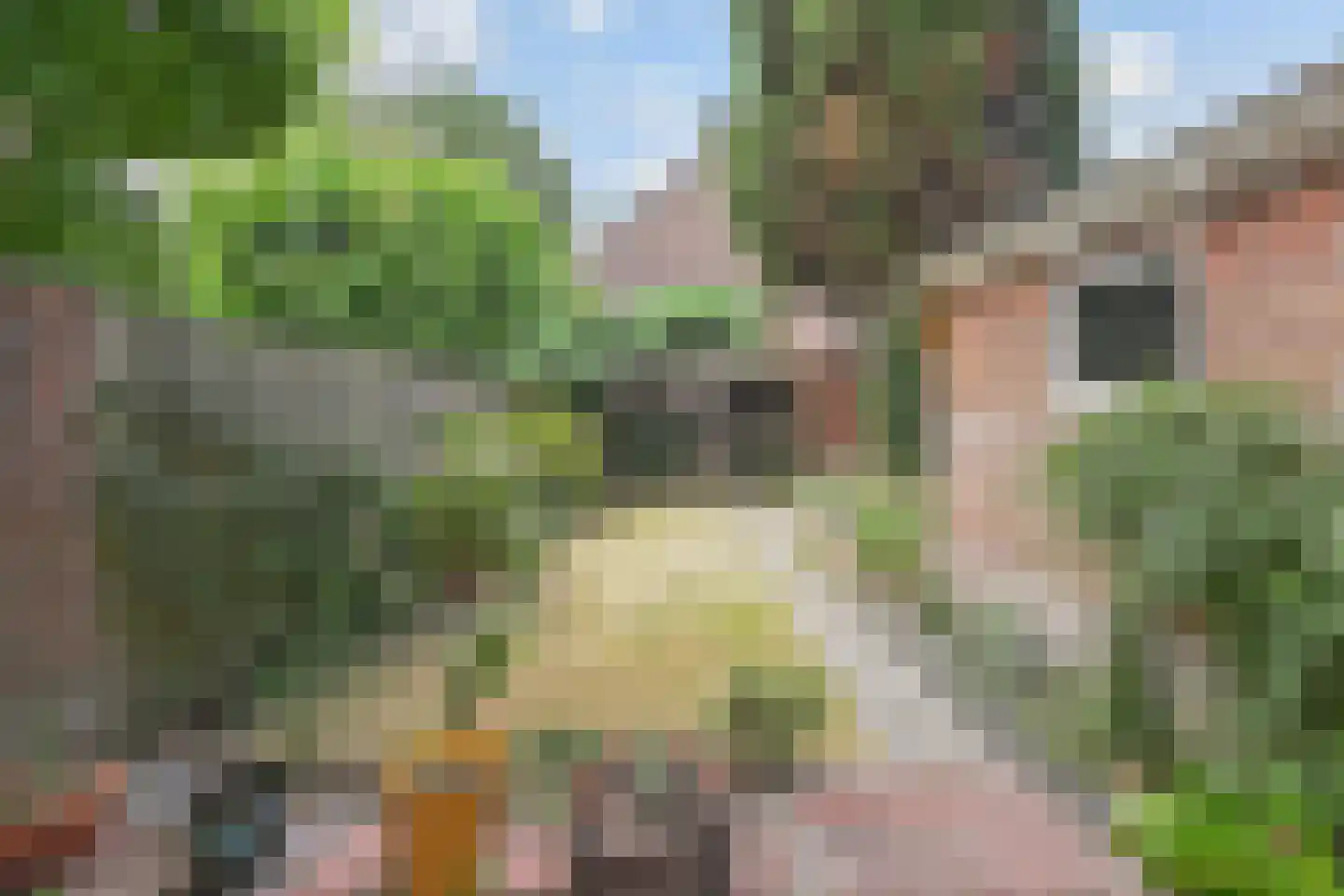 Populierenlaan 20 Leidschendam thumbnail 13