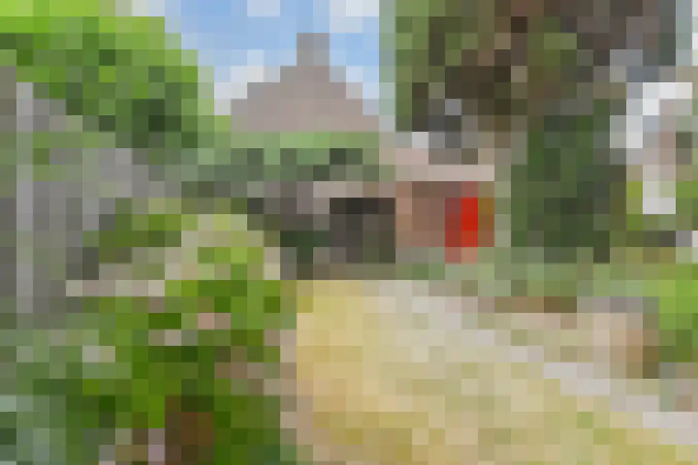 Populierenlaan 20 Leidschendam thumbnail 14