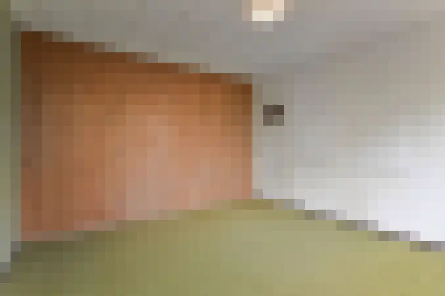 Populierenlaan 20 Leidschendam thumbnail 26
