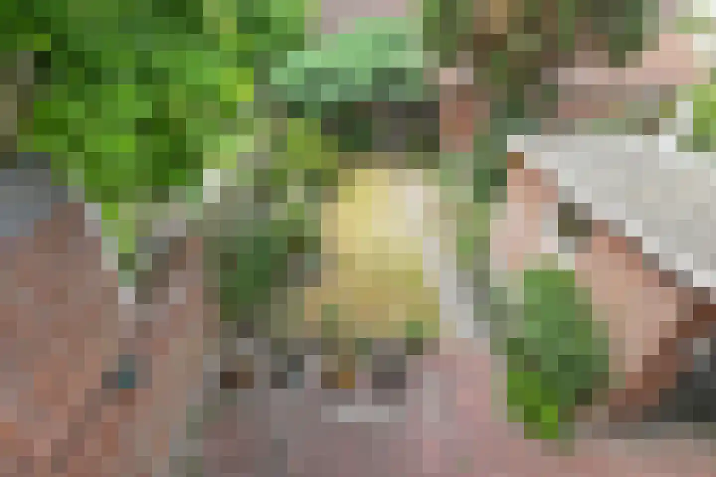 Populierenlaan 20 Leidschendam thumbnail 5