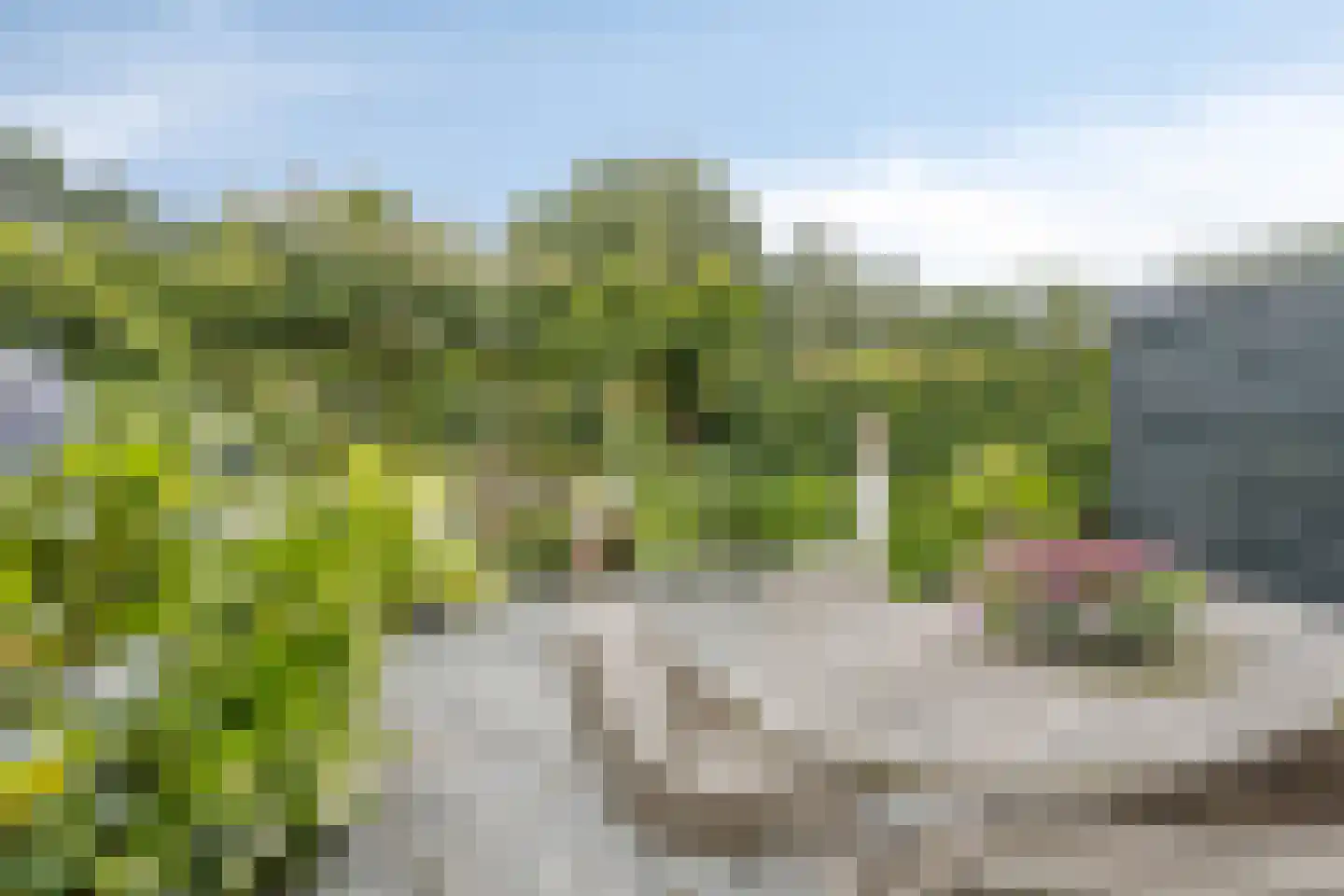 Populierenlaan 203 Krimpen aan den IJssel thumbnail 29