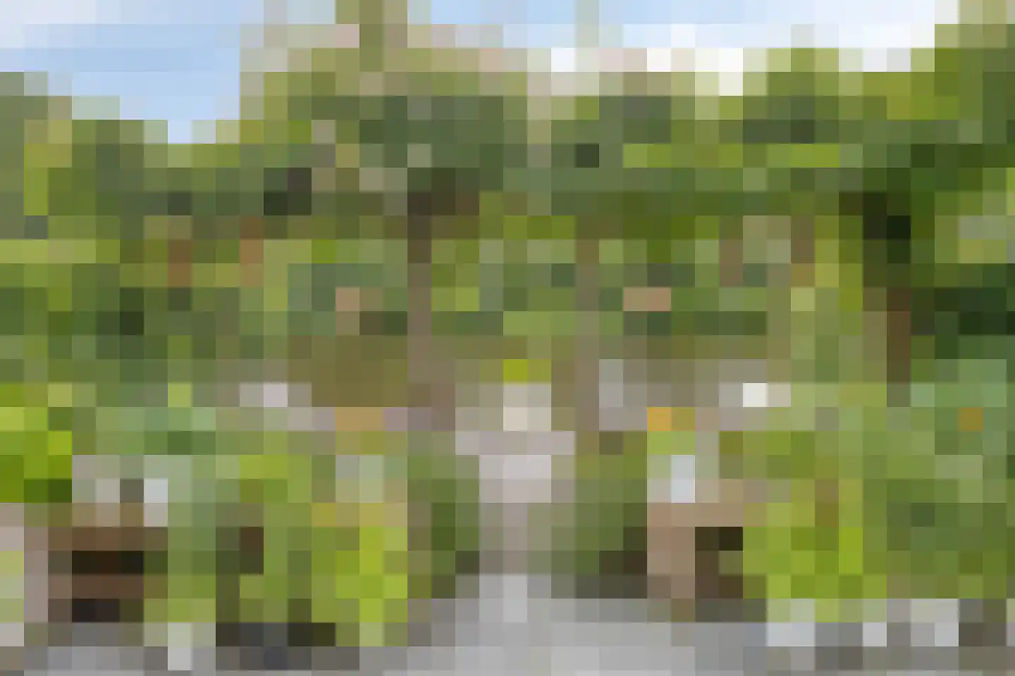 Populierenlaan 203 Krimpen aan den IJssel thumbnail 30