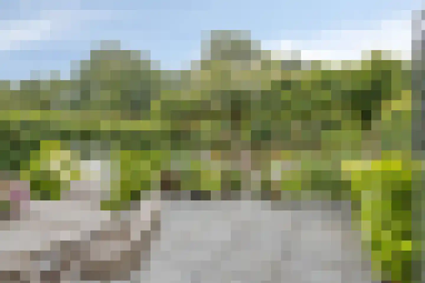 Populierenlaan 203 Krimpen aan den IJssel thumbnail 31
