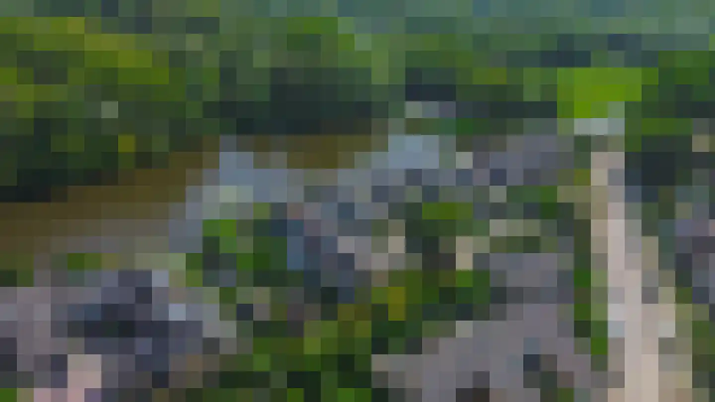 Populierenlaan 203 Krimpen aan den IJssel thumbnail 39