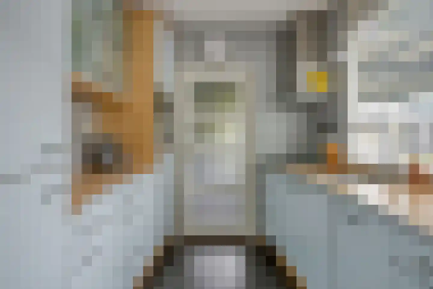 Populierenlaan 203 Krimpen aan den IJssel thumbnail 4