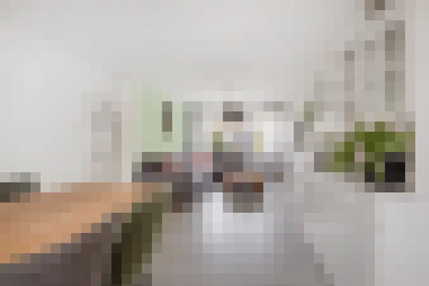 Populierenlaan 205 Zwanenburg thumbnail 11