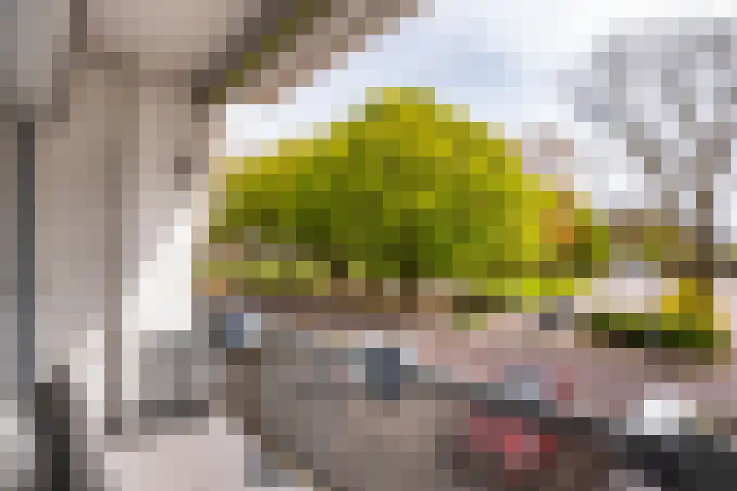 Populierenlaan 205 Zwanenburg thumbnail 17
