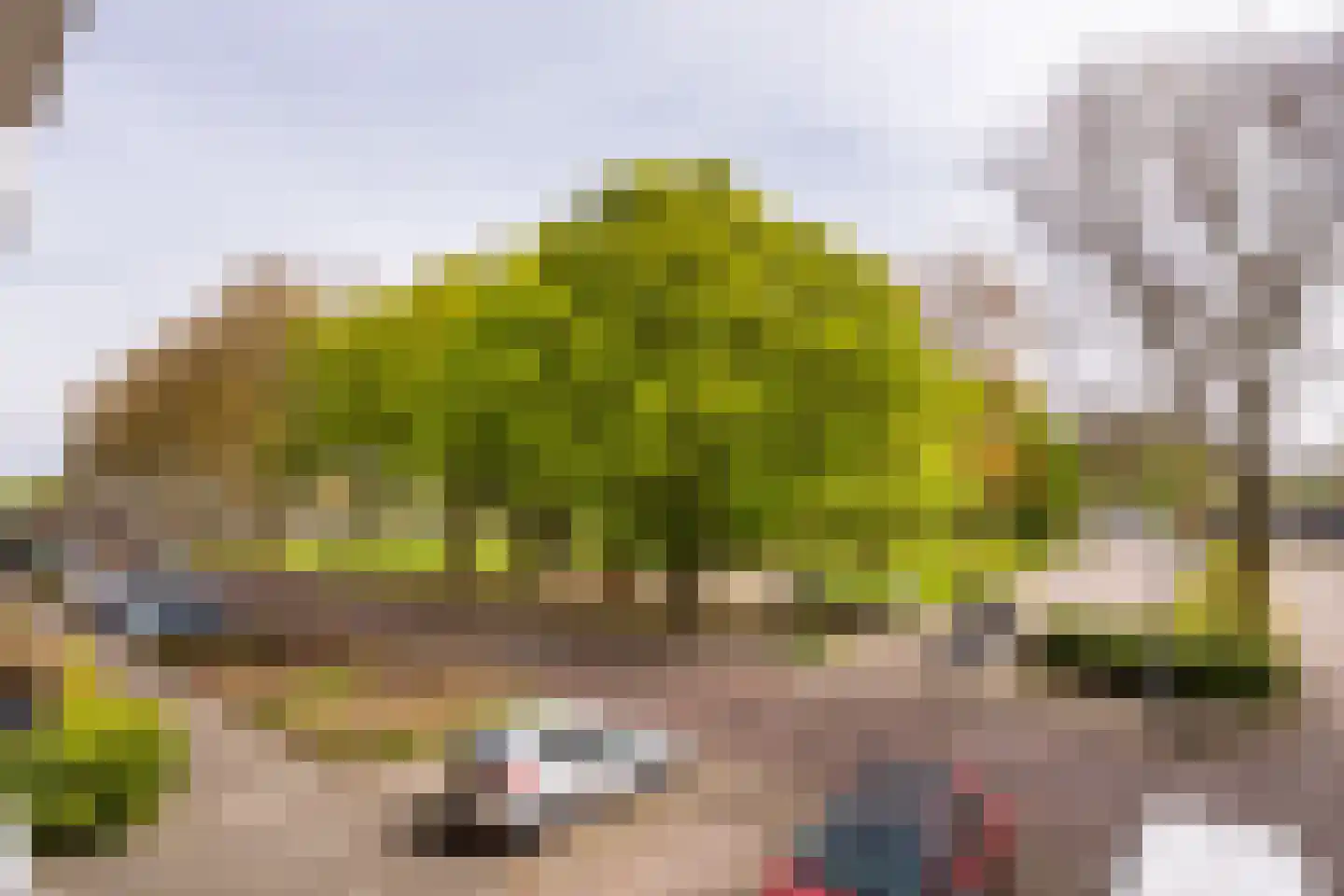 Populierenlaan 205 Zwanenburg thumbnail 18
