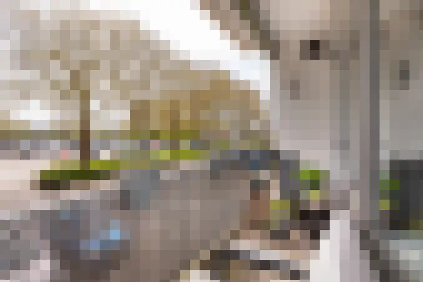 Populierenlaan 205 Zwanenburg thumbnail 19