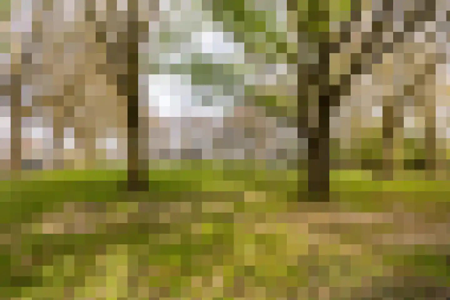 Populierenlaan 205 Zwanenburg thumbnail 27