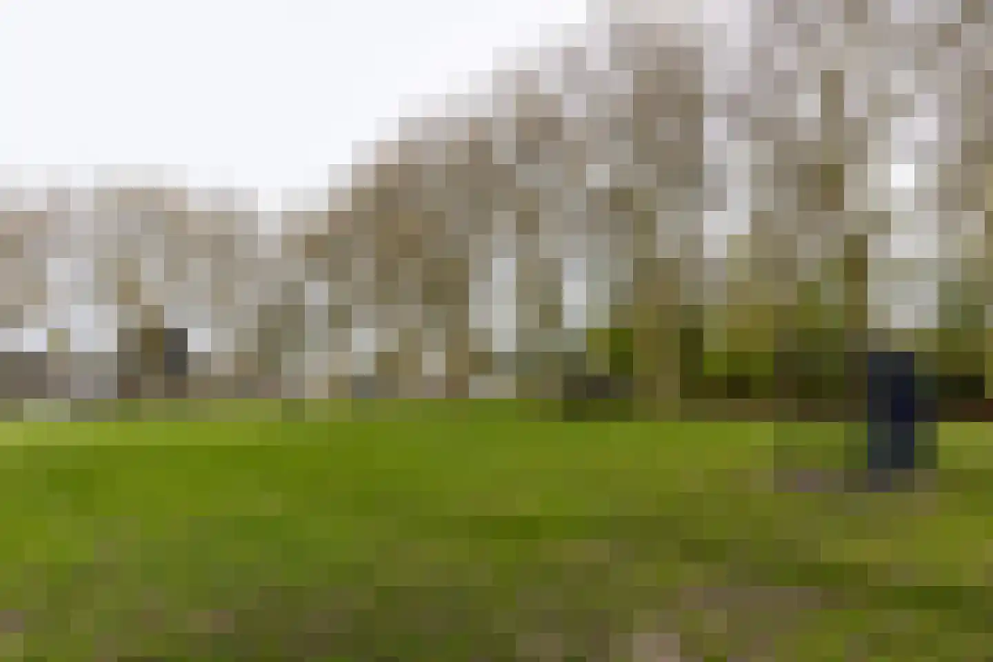 Populierenlaan 205 Zwanenburg thumbnail 28
