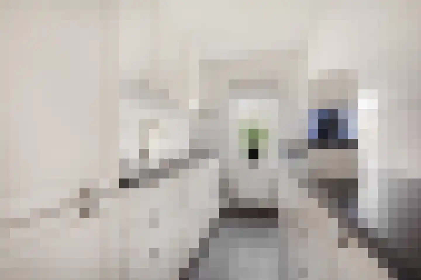 Populierenlaan 205 Zwanenburg thumbnail 5