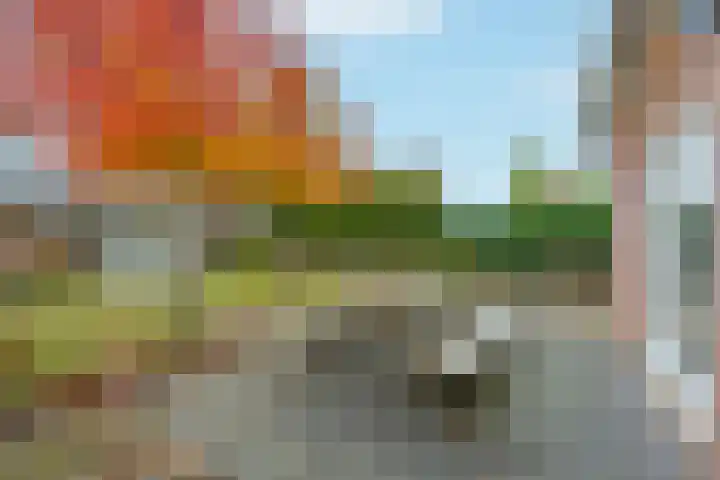 Populierenlaan 21 Enter thumbnail 16