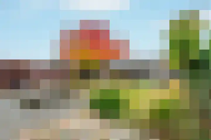 Populierenlaan 21 Enter thumbnail 17