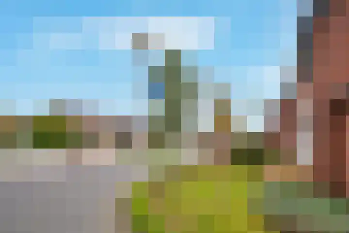 Populierenlaan 21 Enter thumbnail 24