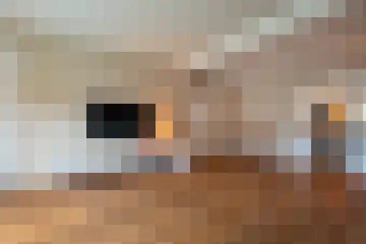 Populierenlaan 21 Enter thumbnail 4