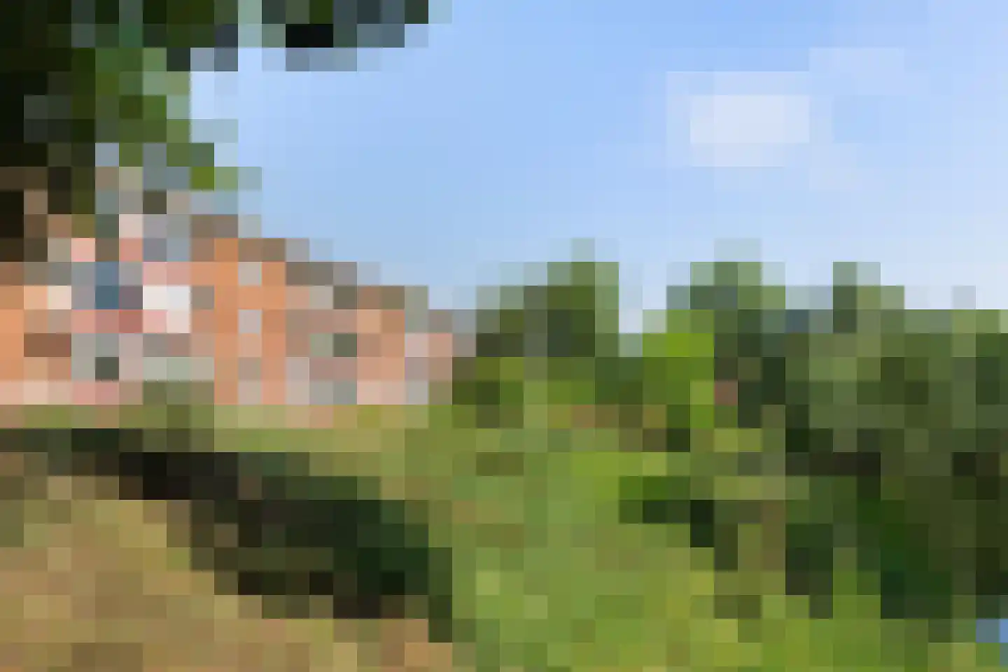 Populierenlaan 21 Groningen thumbnail 35