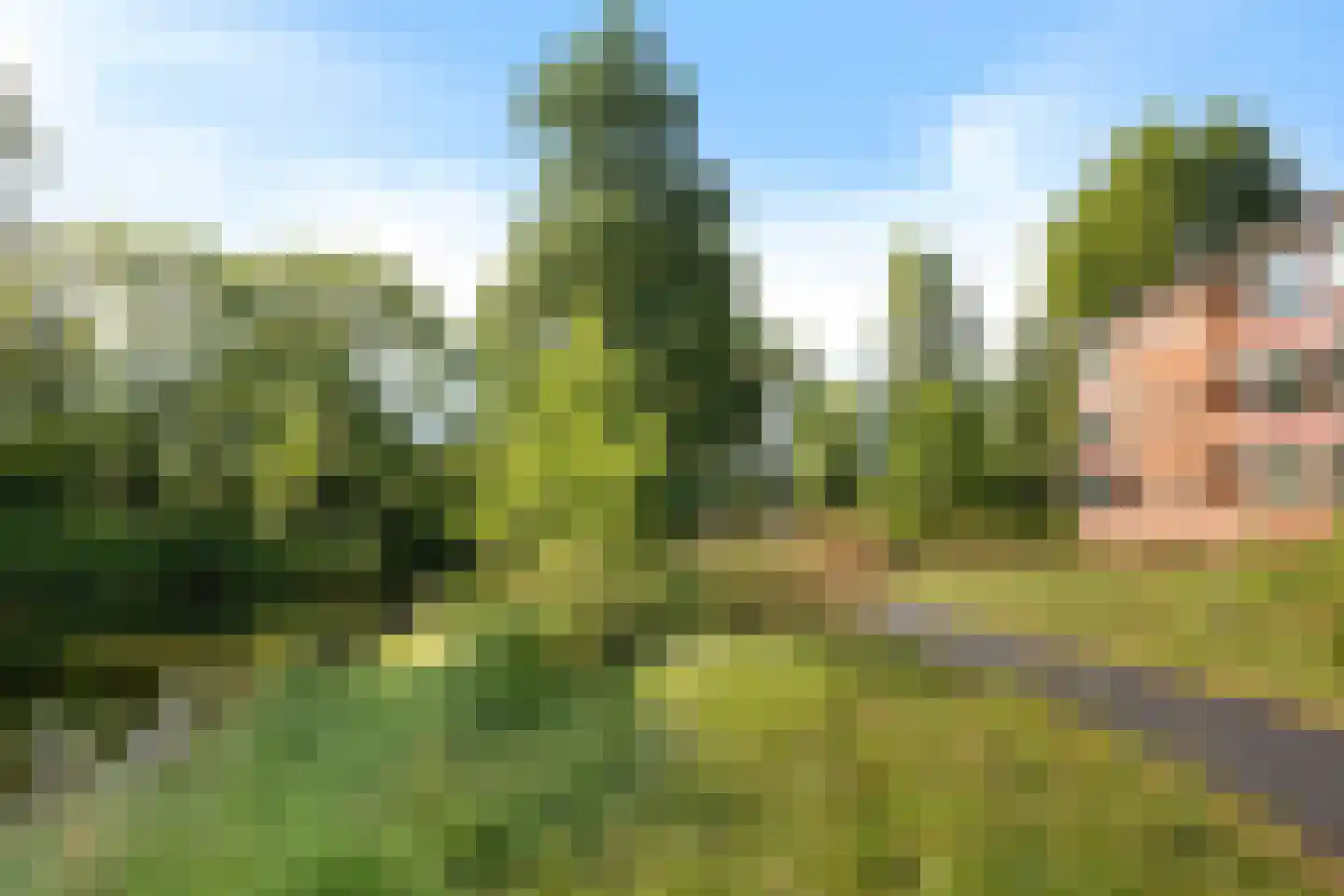 Populierenlaan 21 Groningen thumbnail 4