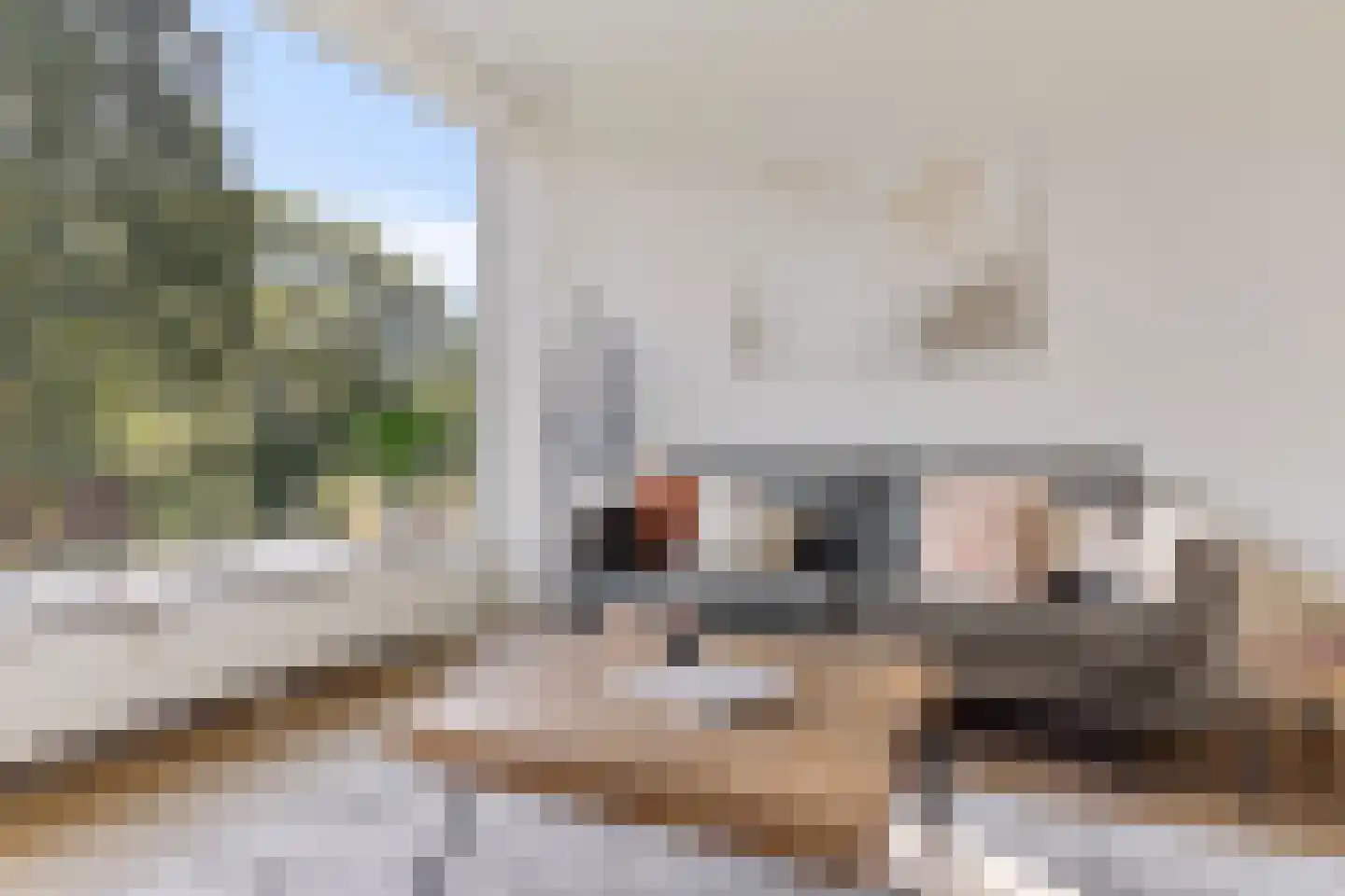 Populierenlaan 21 Groningen thumbnail 7