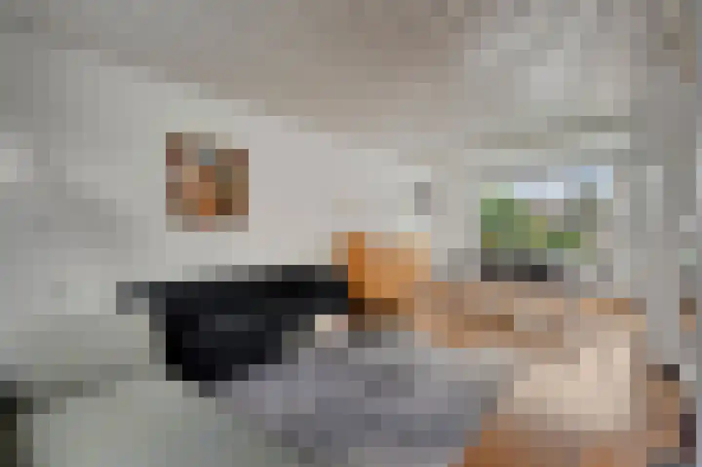 Populierenlaan 21 Nootdorp thumbnail 10