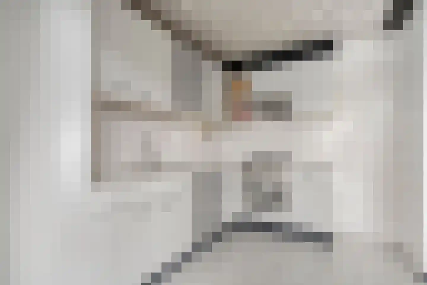 Populierenlaan 21 Nootdorp thumbnail 12