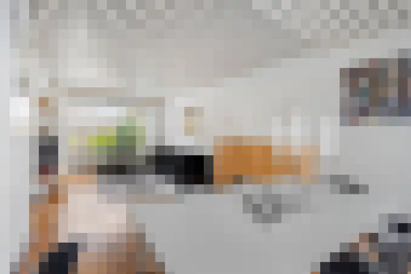 Populierenlaan 21 Nootdorp thumbnail 18