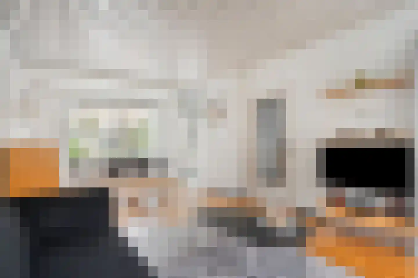 Populierenlaan 21 Nootdorp thumbnail 19