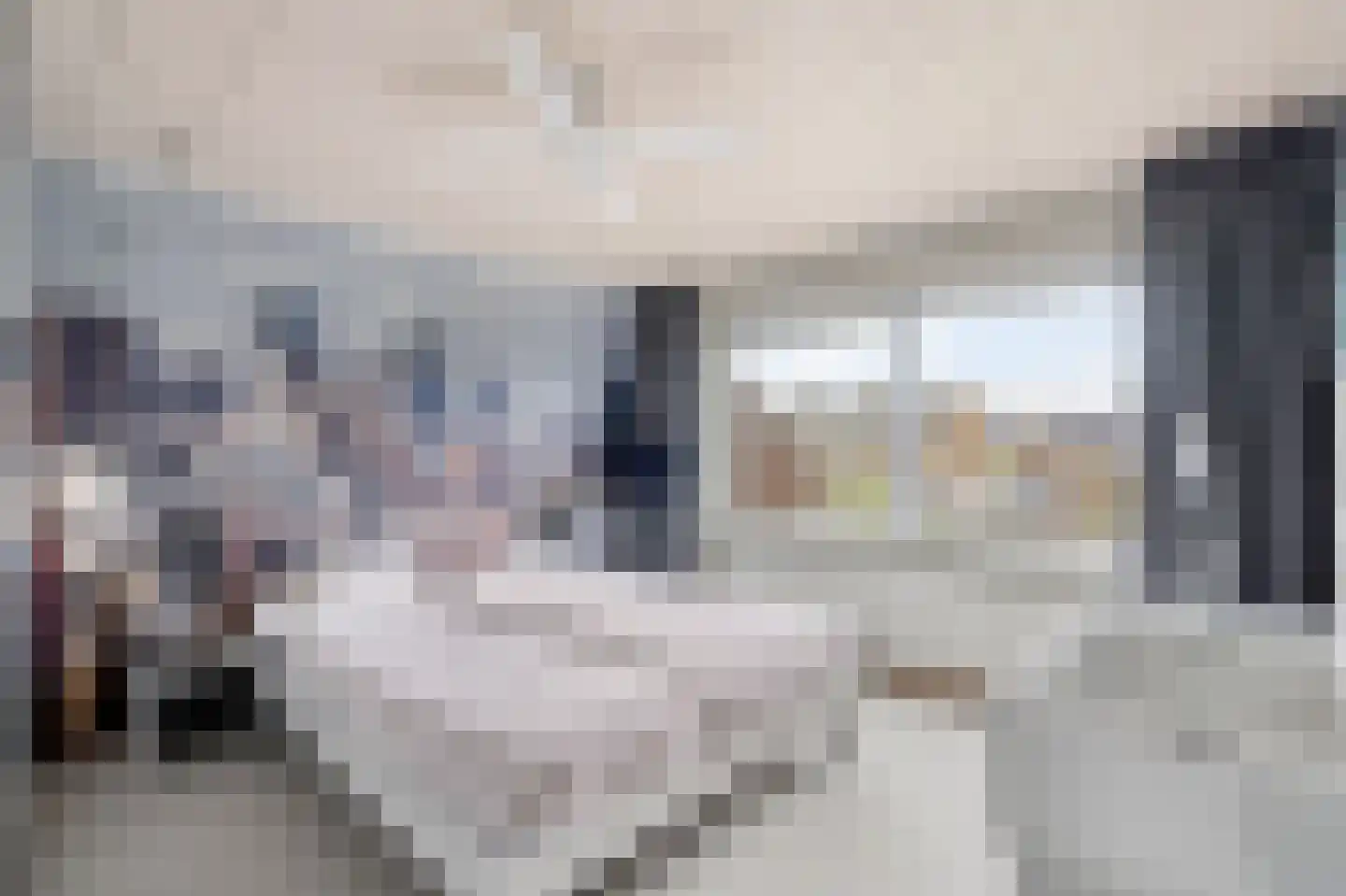 Populierenlaan 21 Nootdorp thumbnail 21