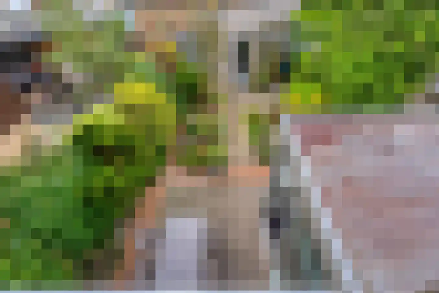 Populierenlaan 21 Nootdorp thumbnail 23