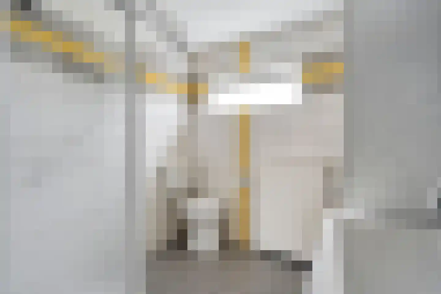 Populierenlaan 21 Nootdorp thumbnail 26