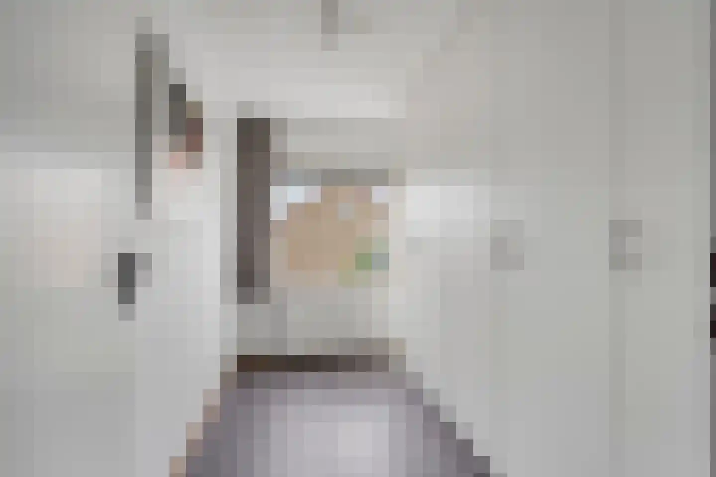 Populierenlaan 21 Nootdorp thumbnail 32