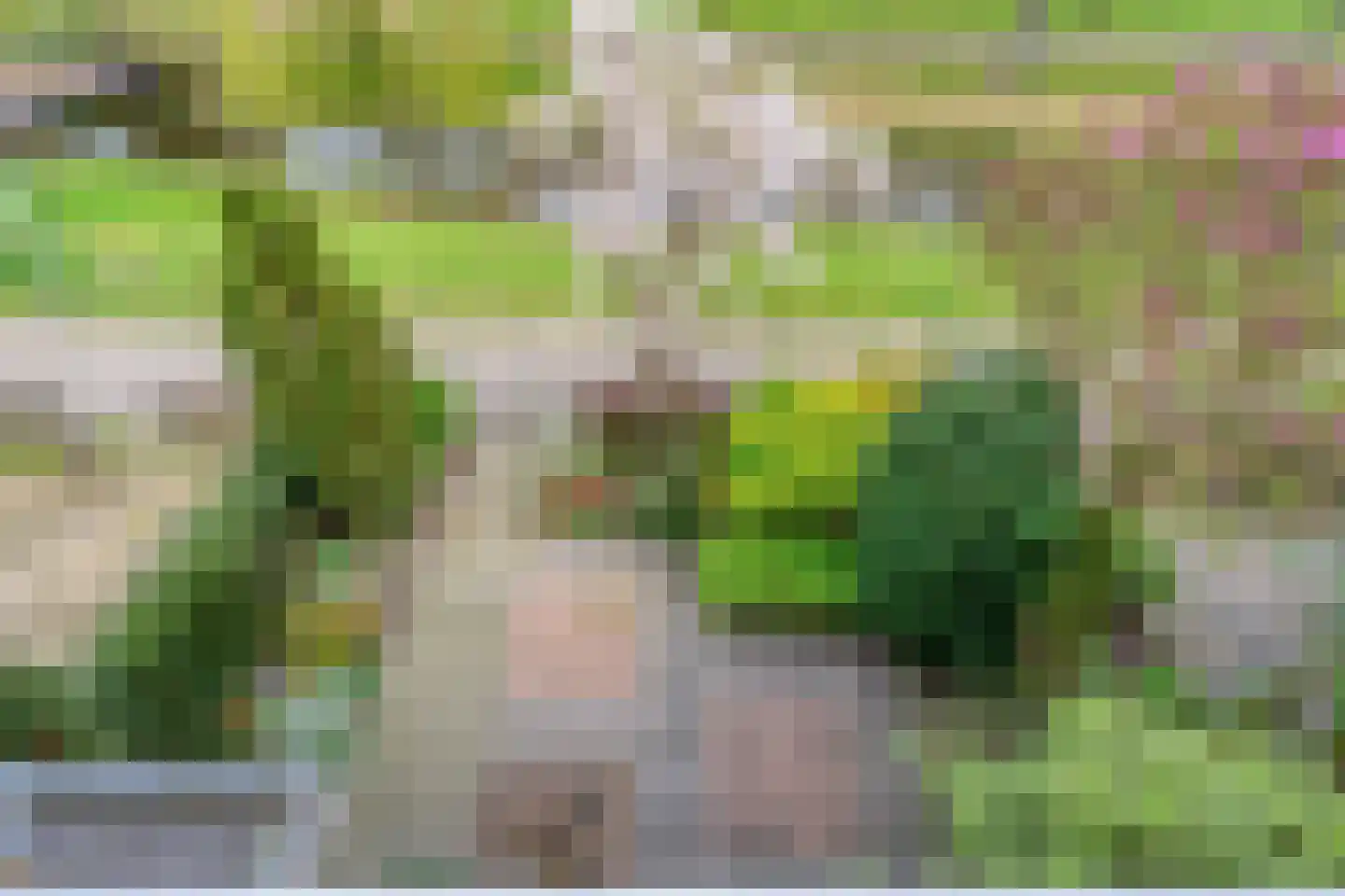 Populierenlaan 21 Nootdorp thumbnail 37