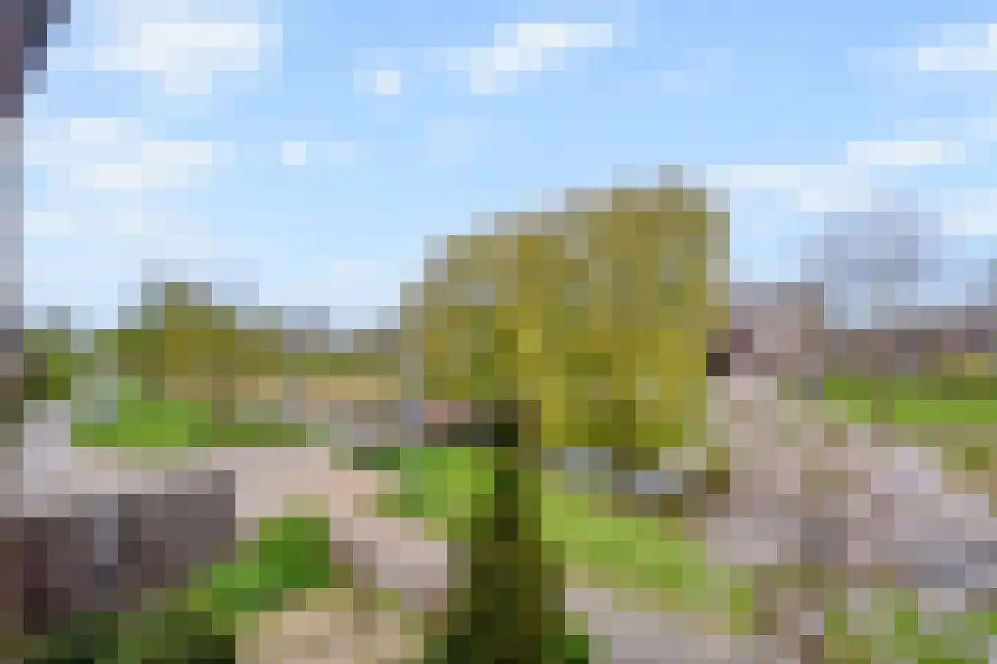 Populierenlaan 21 Nootdorp thumbnail 38