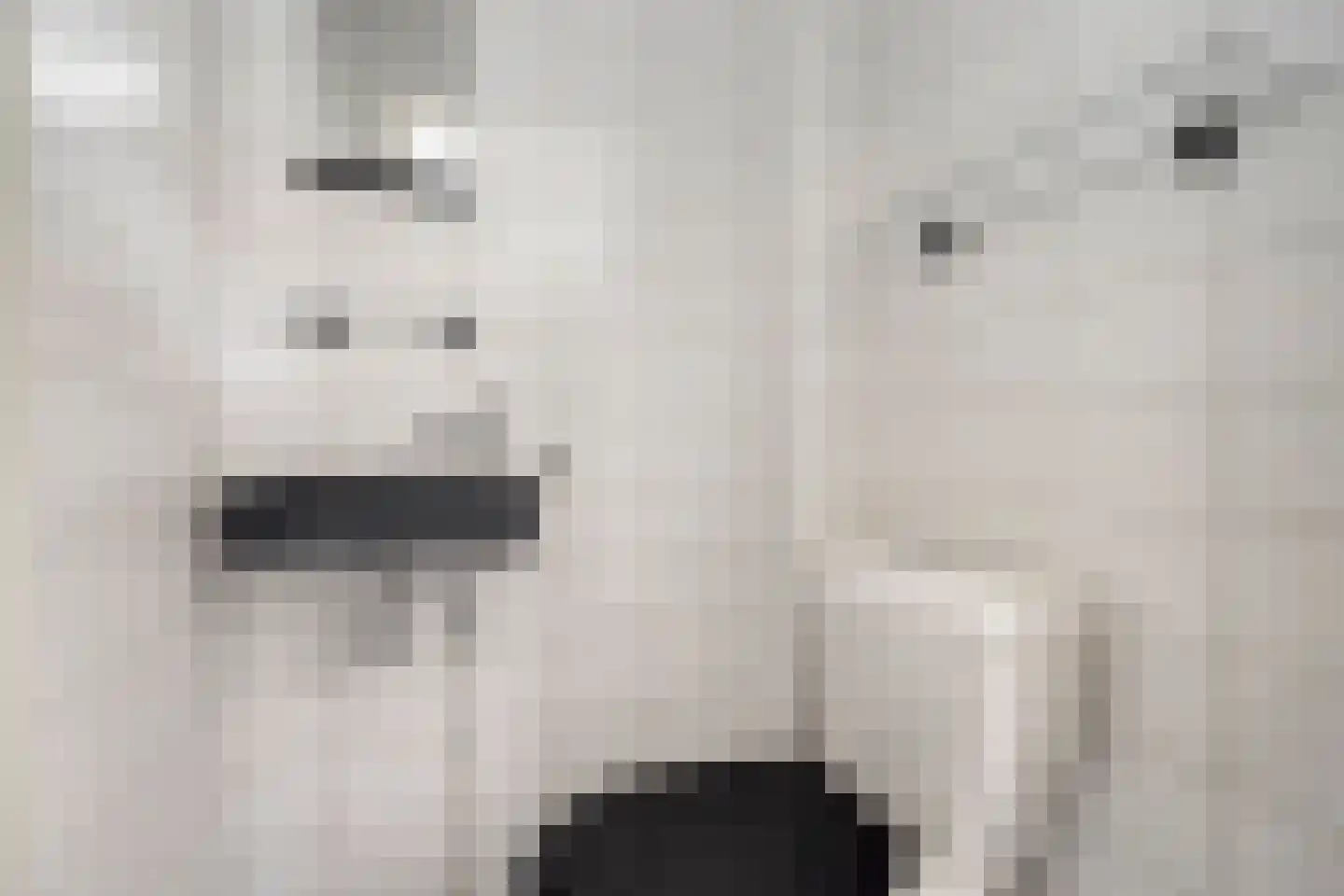 Populierenlaan 21 Nootdorp thumbnail 8