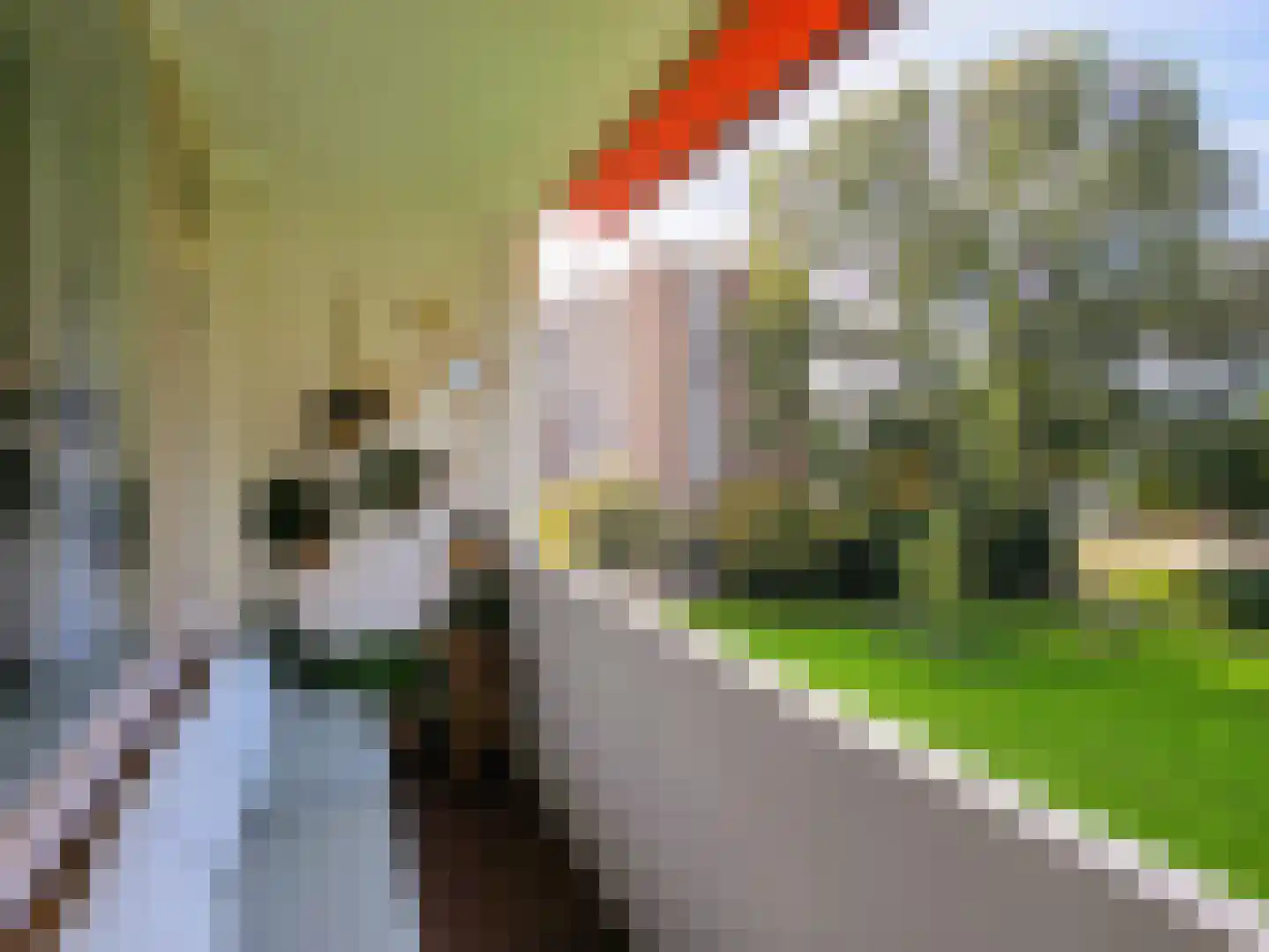 Populierenlaan 211 Amstelveen thumbnail 9