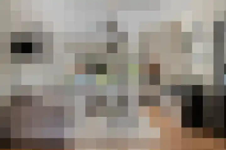 Populierenlaan 22 Krimpen aan den IJssel thumbnail 13