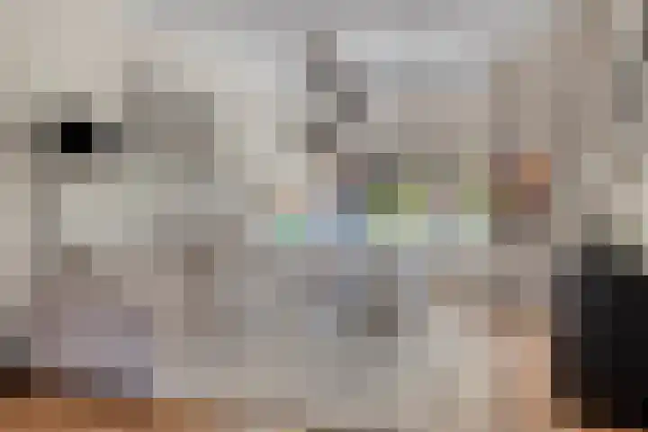 Populierenlaan 22 Krimpen aan den IJssel thumbnail 14