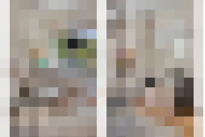Populierenlaan 22 Krimpen aan den IJssel thumbnail 15