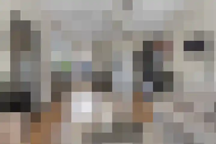 Populierenlaan 22 Krimpen aan den IJssel thumbnail 16