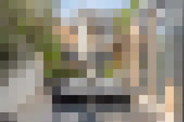 Populierenlaan 22 Krimpen aan den IJssel thumbnail 20
